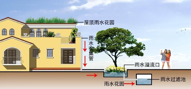 雨水收集系統(tǒng)的幾種類型知道嗎？由哪些結(jié)構(gòu)組成？